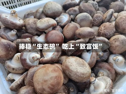 捧稳“生态碗” 吃上“致富饭”-第3张图片