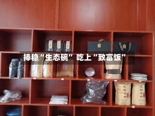 捧稳“生态碗” 吃上“致富饭”-第2张图片