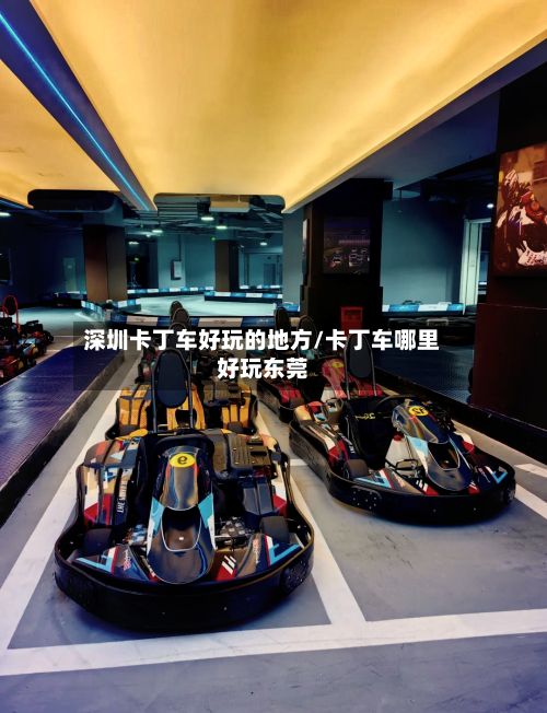深圳卡丁车好玩的地方/卡丁车哪里好玩东莞