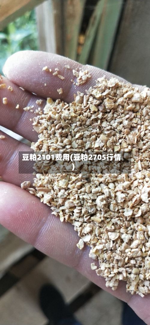 豆粕2101费用(豆粕2705行情)-第2张图片