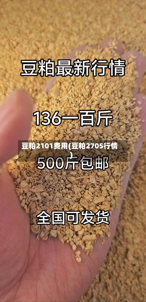 豆粕2101费用(豆粕2705行情)-第3张图片