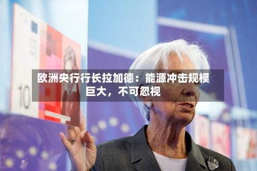 欧洲央行行长拉加德：能源冲击规模巨大	，不可忽视-第3张图片