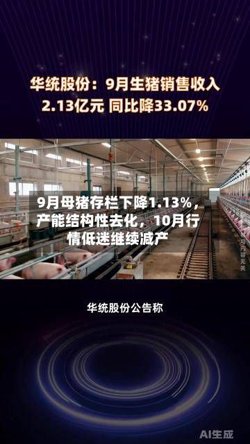 9月母猪存栏下降1.13%	，产能结构性去化，10月行情低迷继续减产-第1张图片