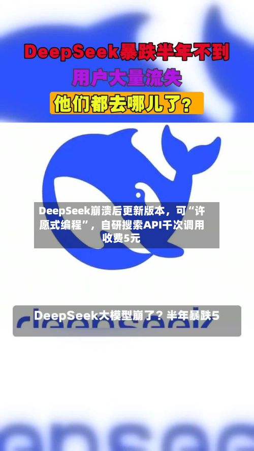 DeepSeek崩溃后更新版本	，可“许愿式编程”，自研搜索API千次调用收费5元-第3张图片