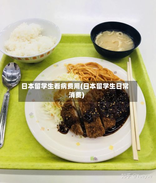 日本留学生看病费用(日本留学生日常消费)-第2张图片