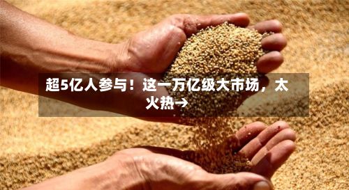 超5亿人参与！这一万亿级大市场，太火热→-第2张图片