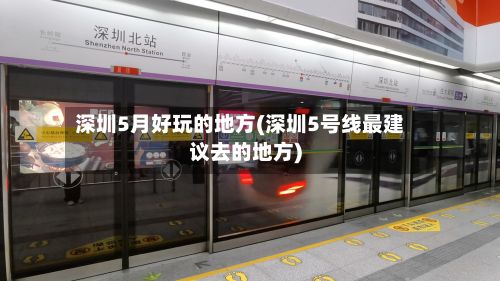 深圳5月好玩的地方(深圳5号线最建议去的地方)-第2张图片