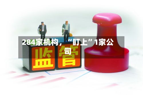 284家机构，“盯上”1家公司