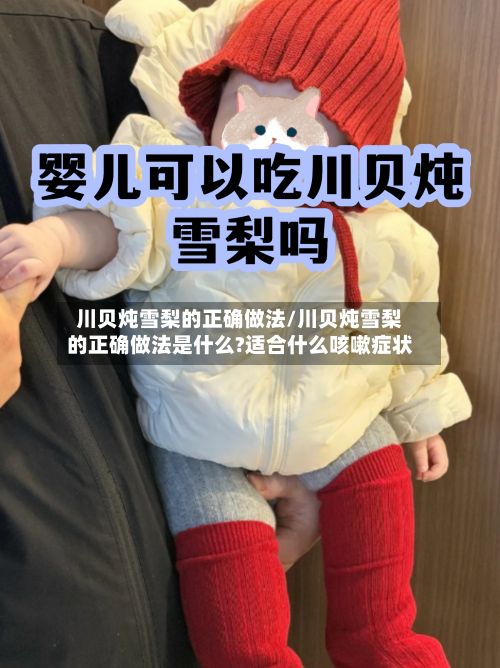 川贝炖雪梨的正确做法/川贝炖雪梨的正确做法是什么?适合什么咳嗽症状-第3张图片