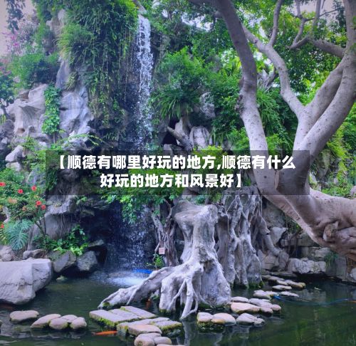 【顺德有哪里好玩的地方,顺德有什么好玩的地方和风景好】