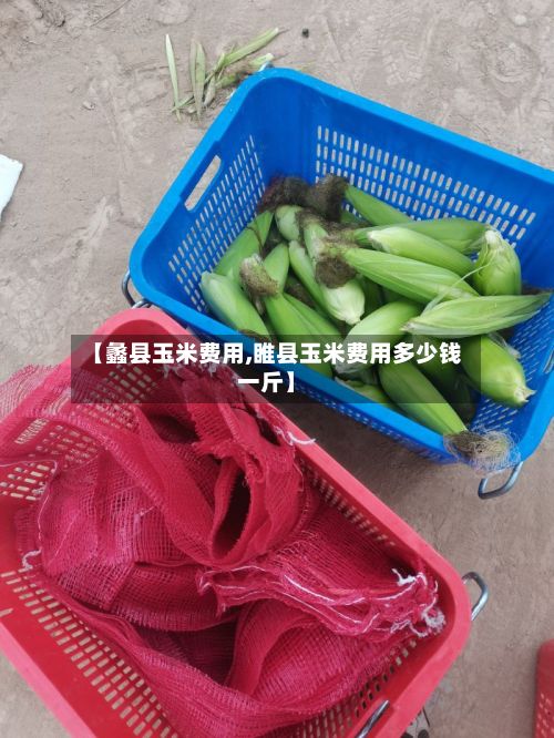 【蠡县玉米费用,睢县玉米费用多少钱一斤】-第2张图片