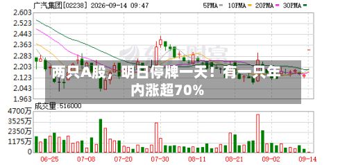 两只A股	，明日停牌一天！有一只年内涨超70%-第2张图片