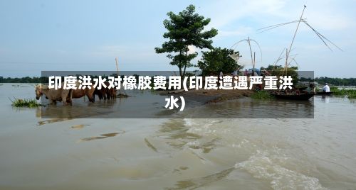 印度洪水对橡胶费用(印度遭遇严重洪水)