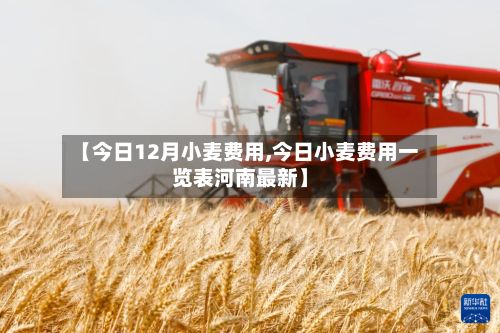 【今日12月小麦费用,今日小麦费用一览表河南最新】
