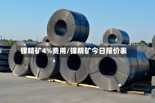 镍精矿4%费用/镍精矿今日报价表-第2张图片