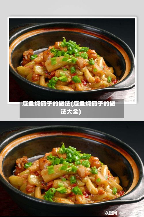 咸鱼炖茄子的做法(咸鱼炖茄子的做法大全)