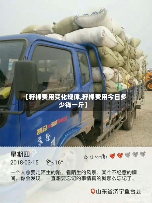 【籽棉费用变化规律,籽棉费用今日多少钱一斤】-第3张图片
