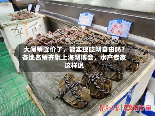 大闸蟹降价了	，能实现吃蟹自由吗？各地名蟹齐聚上海蟹博会，水产专家这样说-第2张图片