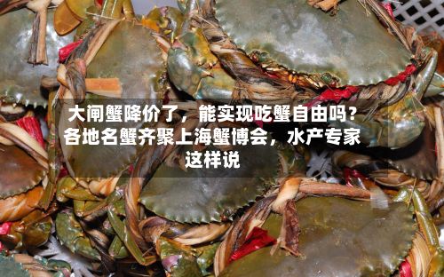 大闸蟹降价了	，能实现吃蟹自由吗？各地名蟹齐聚上海蟹博会，水产专家这样说-第3张图片