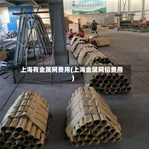 上海有金属网费用(上海金属网铅费用)