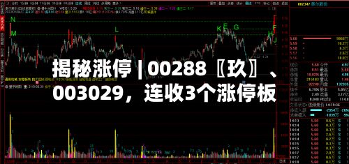 揭秘涨停 | 00288〖玖〗、003029	，连收3个涨停板-第1张图片