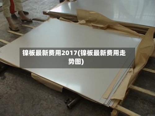 镍板最新费用2017(镍板最新费用走势图)-第2张图片
