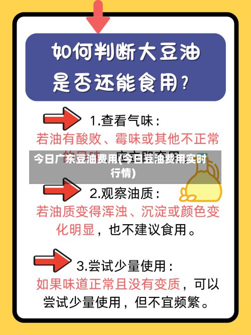 今日广东豆油费用(今日豆油费用实时行情)-第3张图片