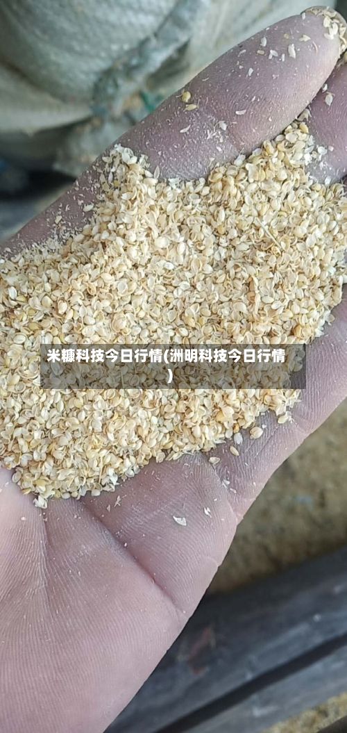 米糠科技今日行情(洲明科技今日行情)-第2张图片