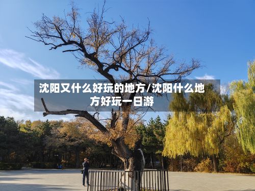 沈阳又什么好玩的地方/沈阳什么地方好玩一日游