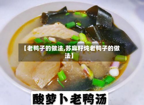 【老鸭子的做法,苏麻籽炖老鸭子的做法】-第3张图片