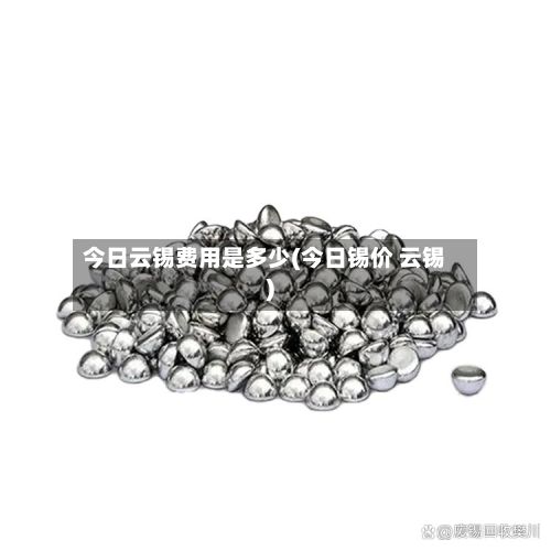 今日云锡费用是多少(今日锡价 云锡)-第2张图片