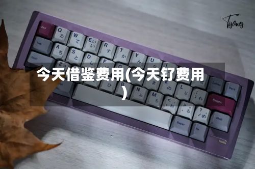 今天借鉴费用(今天钌费用)