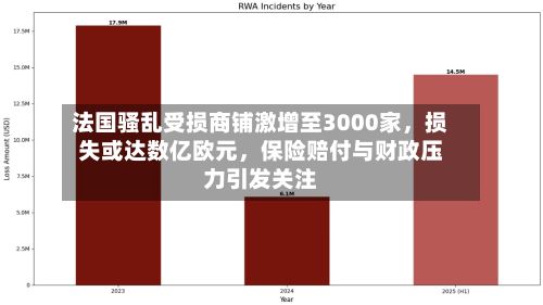 法国骚乱受损商铺激增至3000家，损失或达数亿欧元，保险赔付与财政压力引发关注-第3张图片