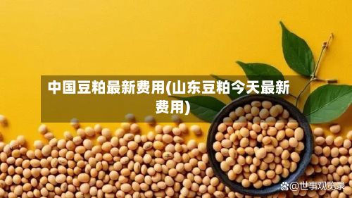 中国豆粕最新费用(山东豆粕今天最新费用)-第2张图片