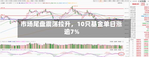 市场尾盘震荡拉升，10只基金单日涨逾7%-第3张图片