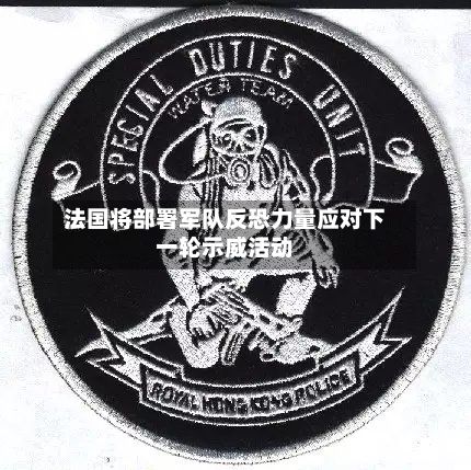 法国将部署军队反恐力量应对下一轮示威活动-第3张图片