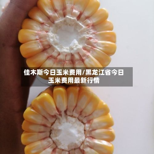 佳木斯今日玉米费用/黑龙江省今日玉米费用最新行情-第3张图片