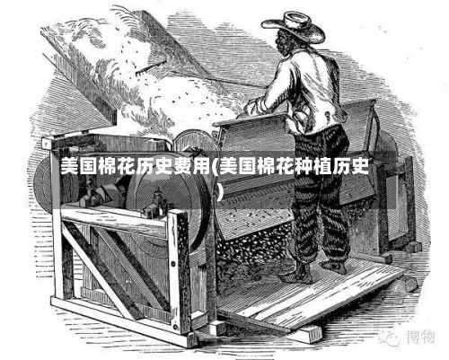 美国棉花历史费用(美国棉花种植历史)