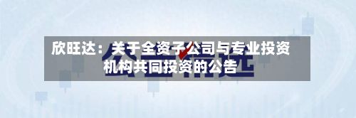 欣旺达：关于全资子公司与专业投资机构共同投资的公告