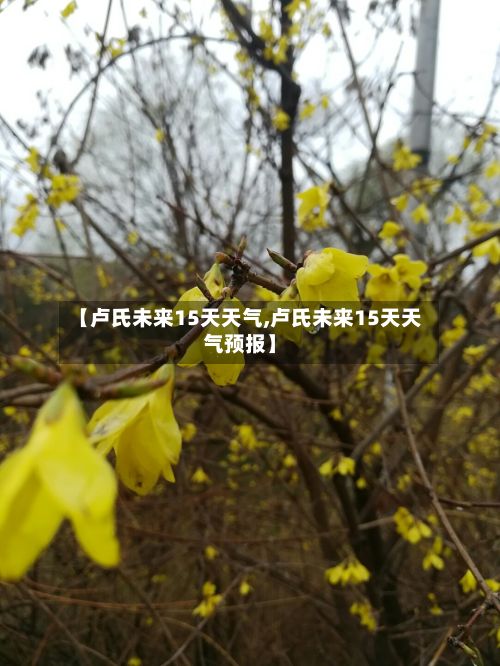 【卢氏未来15天天气,卢氏未来15天天气预报】
