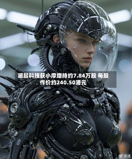 澜起科技获小摩增持约7.84万股 每股作价约240.50港元-第2张图片