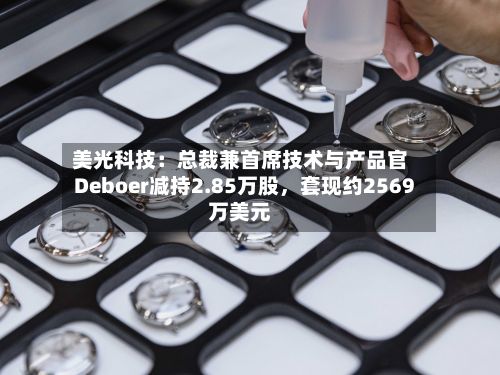 美光科技：总裁兼首席技术与产品官Deboer减持2.85万股，套现约2569万美元-第2张图片