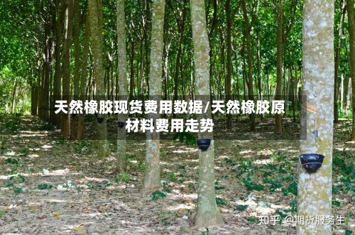 天然橡胶现货费用数据/天然橡胶原材料费用走势
