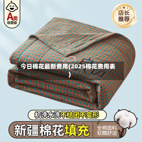 今日棉花最新费用(2025棉花费用表)