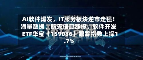 AI软件爆发，IT服务板块逆市走强！海量数据、航天信息涨停	，软件开发ETF华宝（159036）跟踪指数上探1.7%-第2张图片