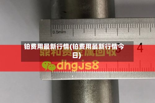 铂费用最新行情(铂费用最新行情今日)-第2张图片