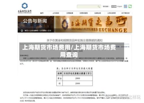 上海期货市场费用/上海期货市场费用查询