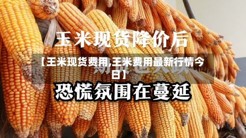 【王米现货费用,王米费用最新行情今日】-第2张图片