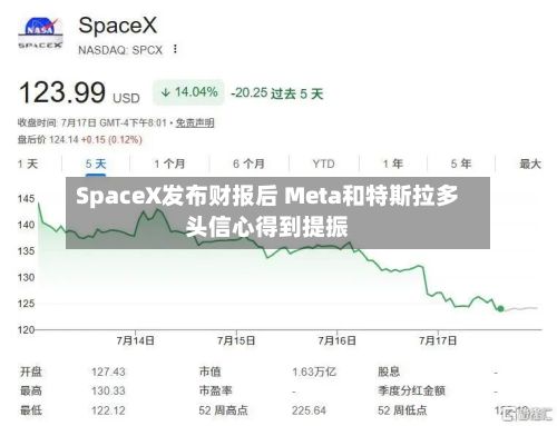 SpaceX发布财报后 Meta和特斯拉多头信心得到提振-第2张图片
