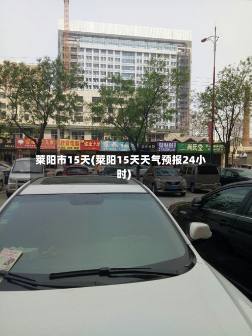 莱阳市15天(莱阳15天天气预报24小时)-第2张图片